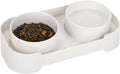 Tilted ceramic pet bowls on elevated stand with 15-degree angle for cats and dogs