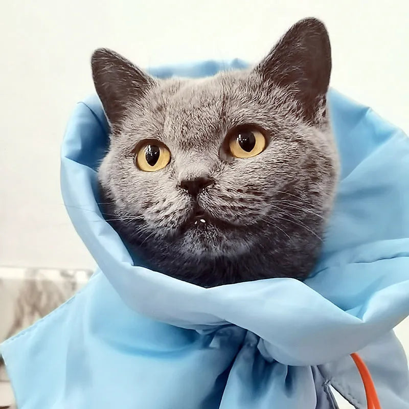 Soft blue adjustable Elizabethan recovery collar for a cat on a plain background.