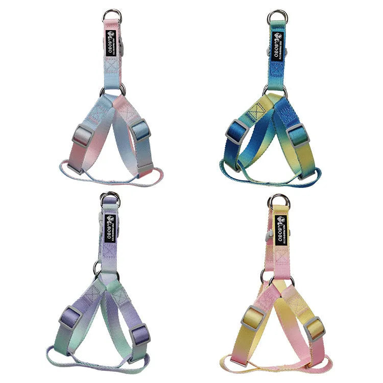 Gradient colour dog leash set showing pink and blue nylon collar and chest strap harness options