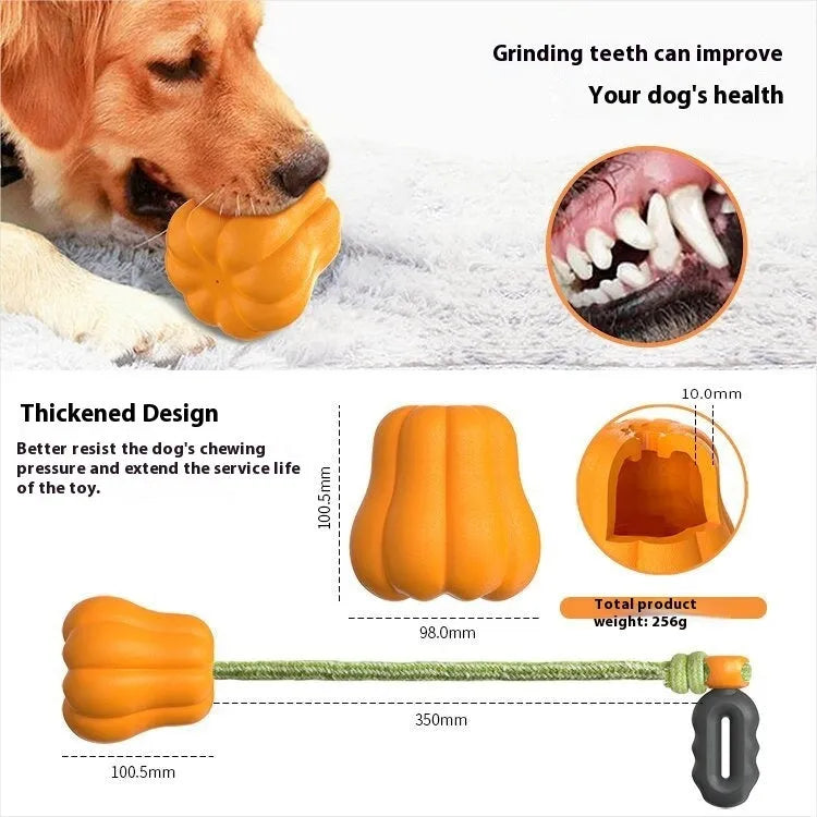 Orange plastic pumpkin dog toy with attached rope for outdoor fetch games