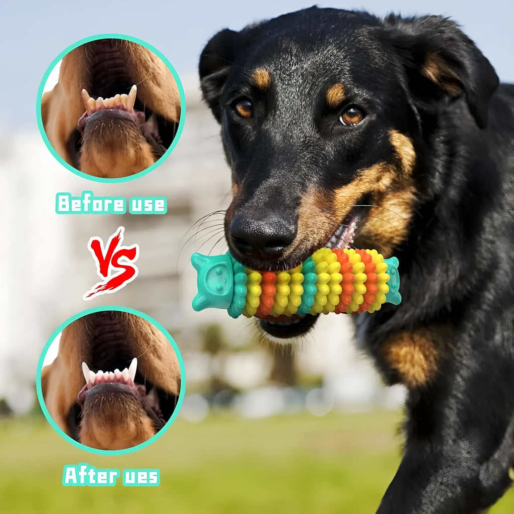 Blue green pink caterpillar shaped natural rubber dog chew toy on white background