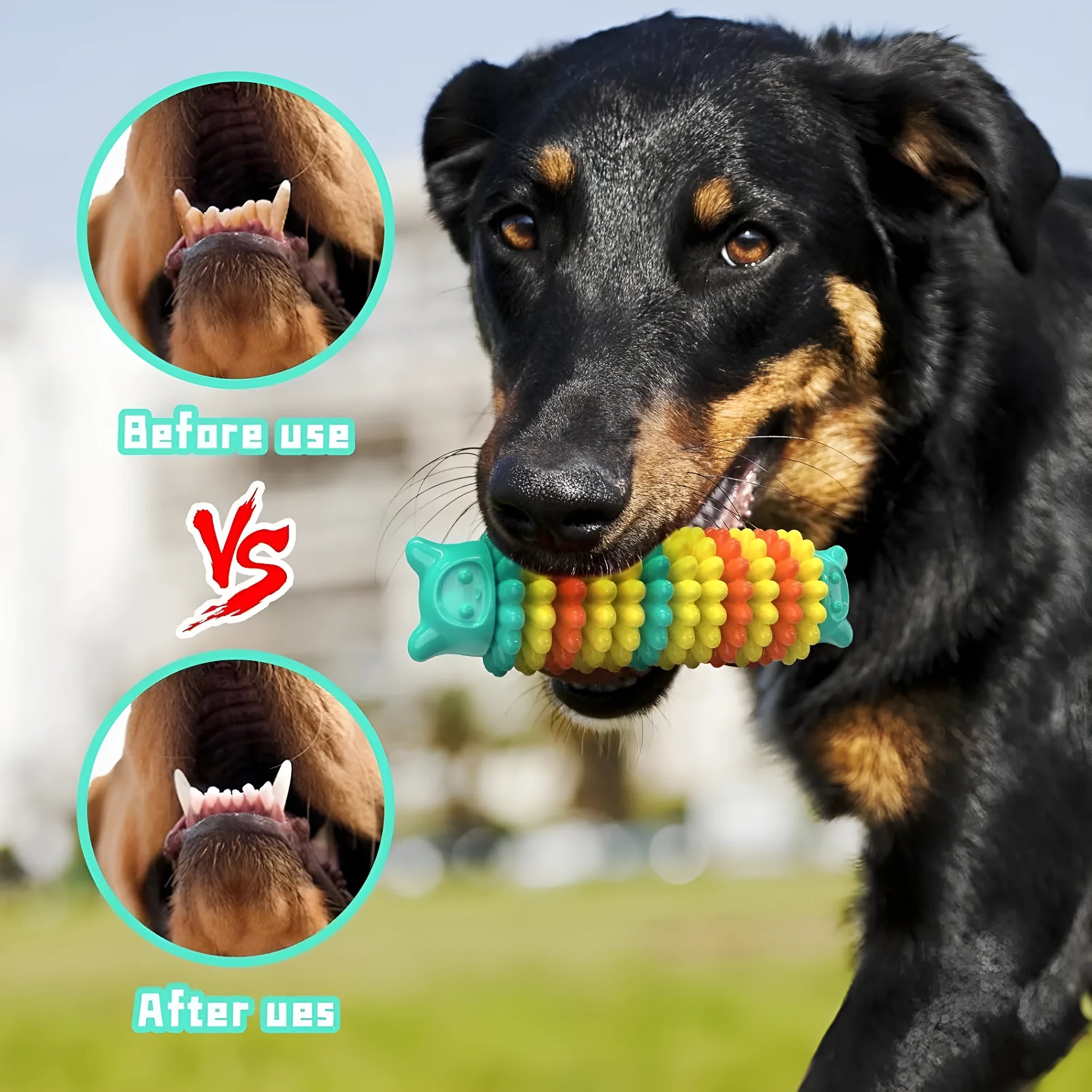 Blue green pink caterpillar shaped natural rubber dog chew toy on white background