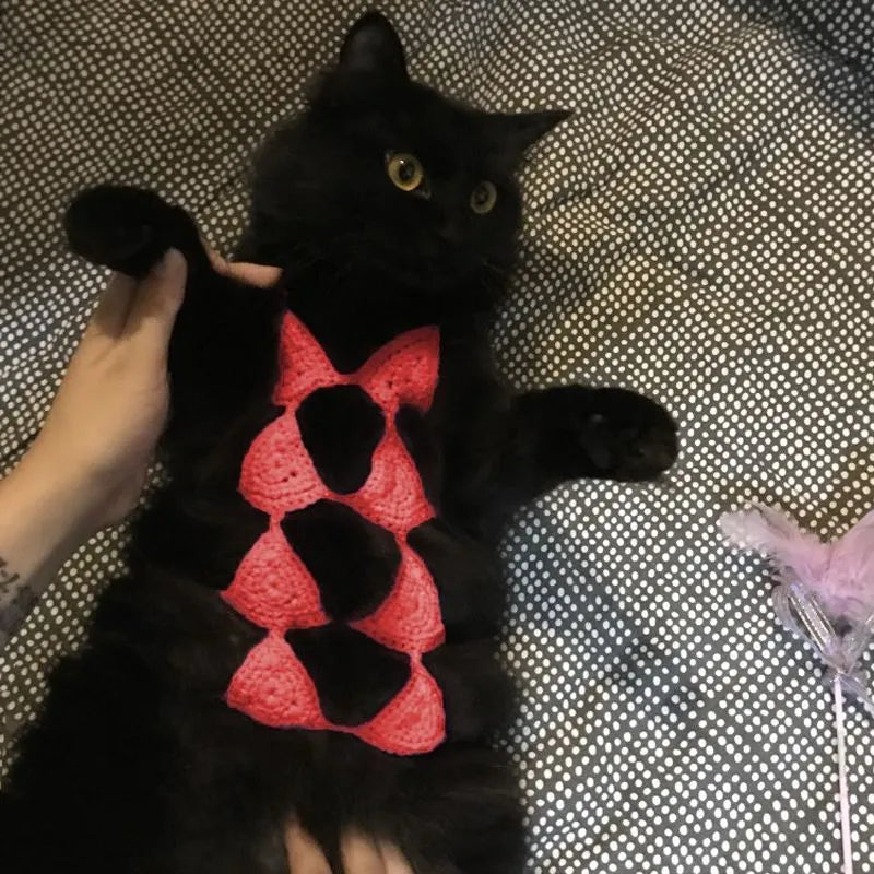 Cat wearing sweet-style bikini costume in multiple colour options for festive events