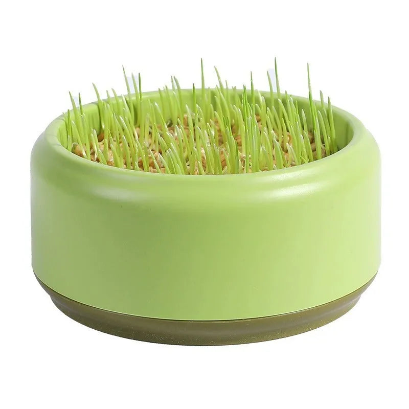 Hydroponic cat grass growing kit with choice of blue, green or yellow starter cups and five seed packs