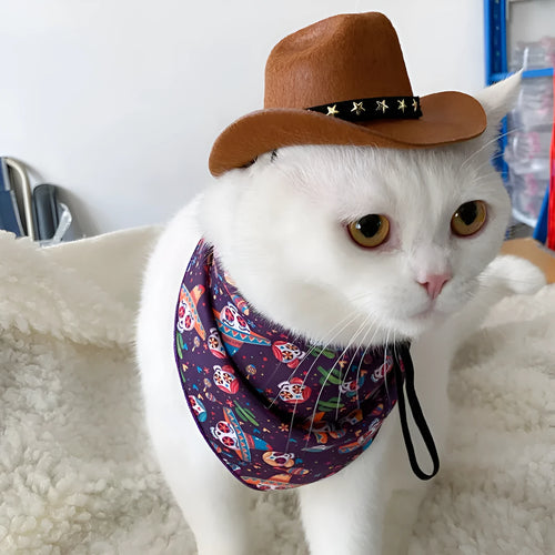 British cowboy style hat for cats with decorative velvet belt trim