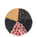 Black Wolfberry Tea bags with mulberry, fig and flaxseed ingredients in packaging with cup