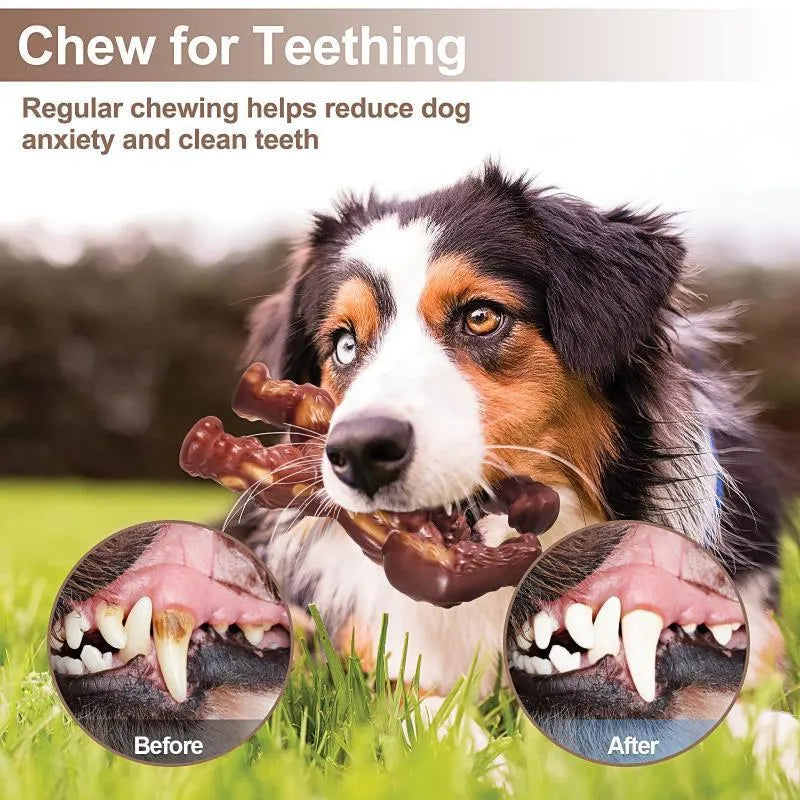 Scarlet beef-flavoured nylon dog molar chewing toy measuring 10.7x17.2x5cm