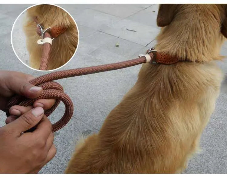 Brown nylon dog leash with chain links measuring 2.1 metres in length