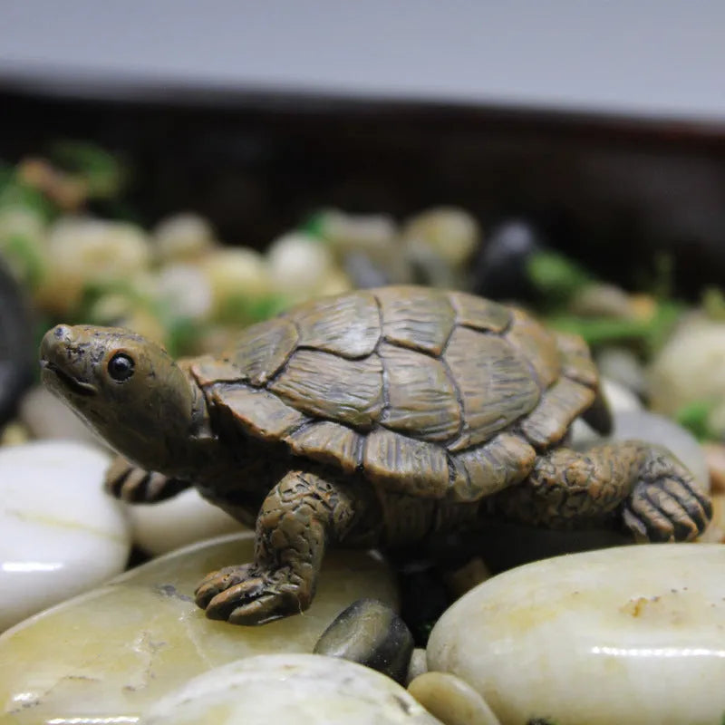 Small brown resin simulation turtle ornament for fairy garden or terrarium decoration.