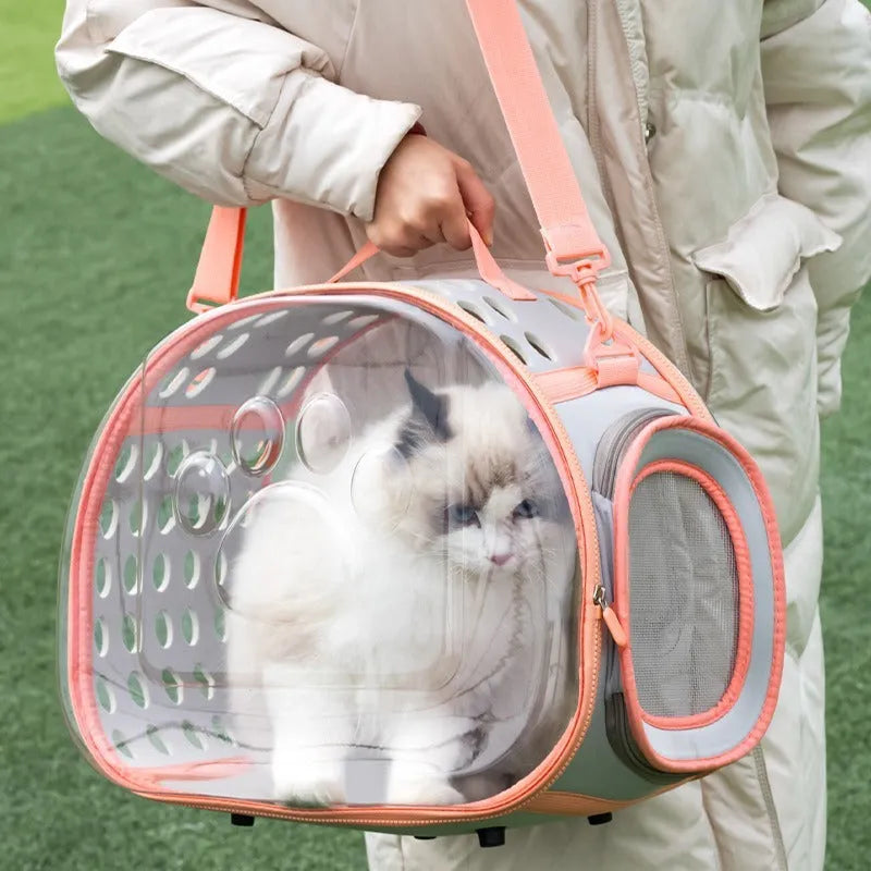 Transparent hard EVA cat backpack carrier in grass green colour with visible interior space