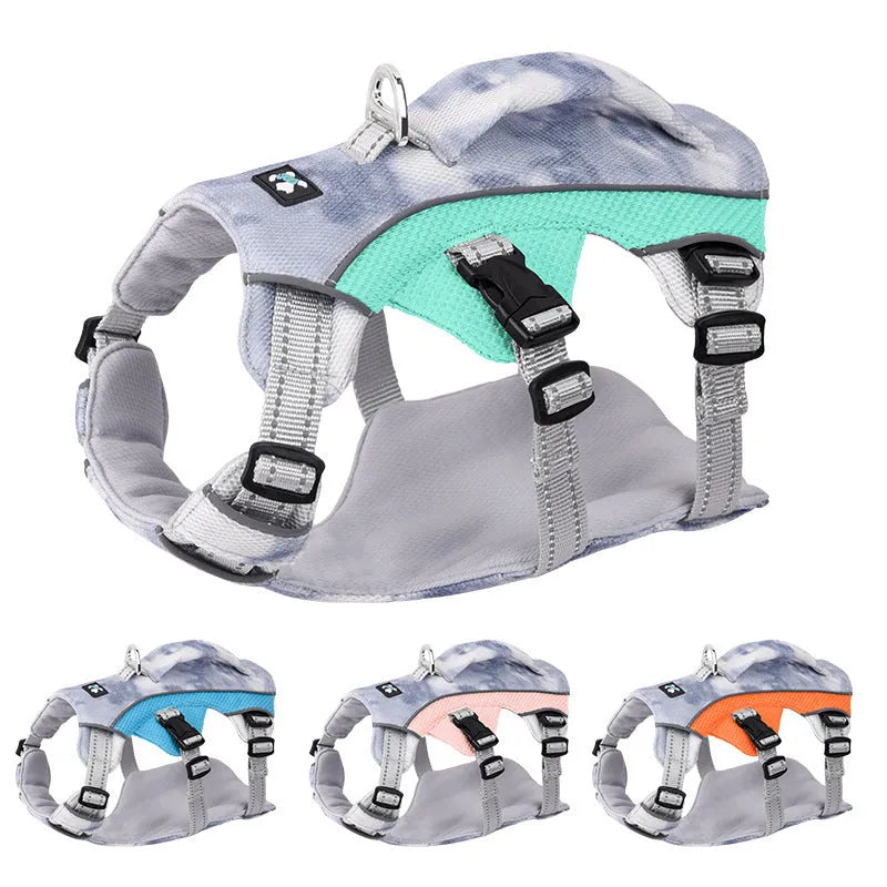 Reflective light blue polyester cooling vest and chest strap harness for a dog on a summer walk.