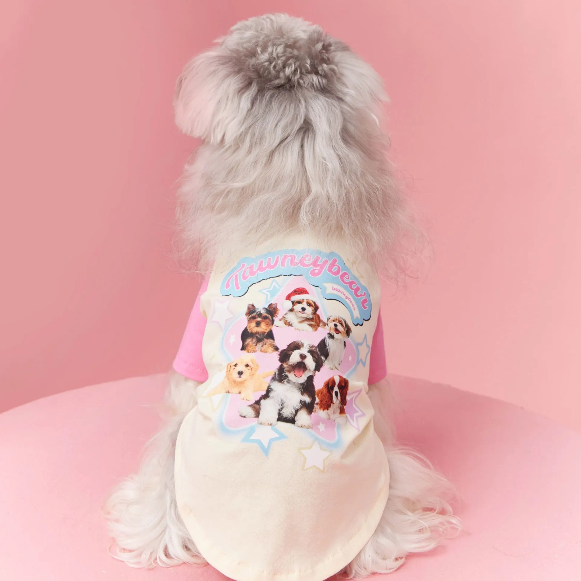 Red embroidered cotton summer outfit for a dog in size L.