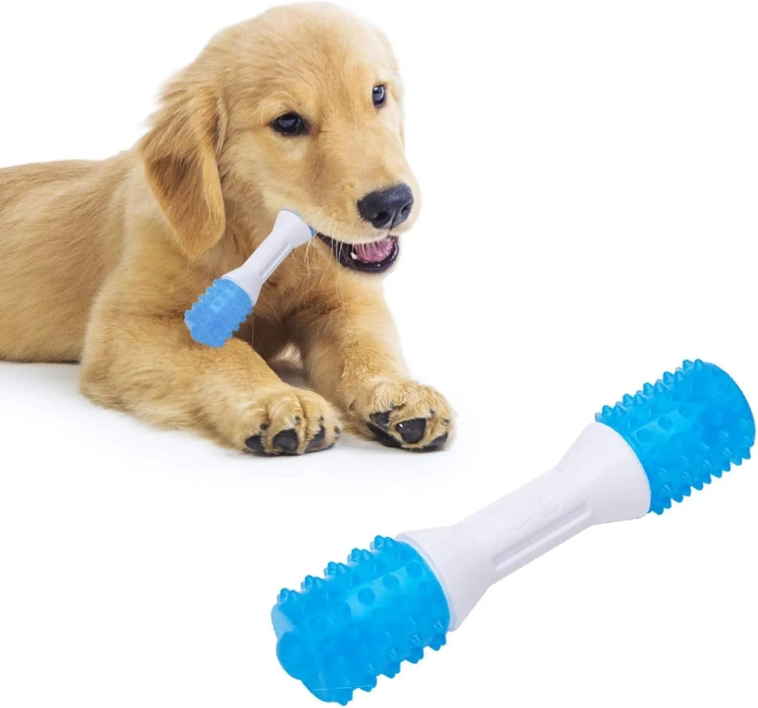 Dual-colour TPR puppy teething chew toy for dental health and moderate chewers