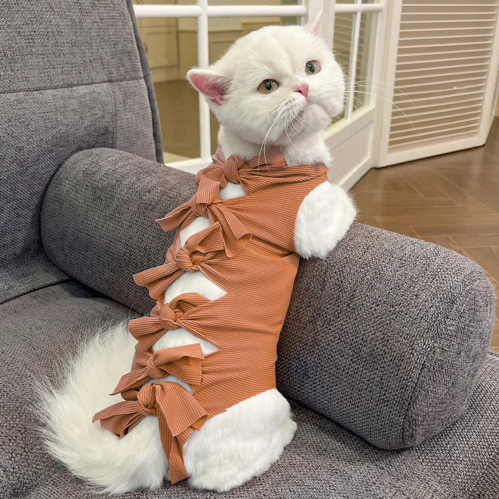 Cat wearing pink sterilisation recovery clothing with lace-up closure after surgery