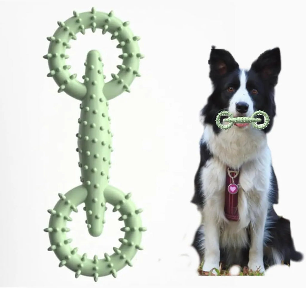 Blue TPR dog chew toy ring on a white background, showing its 16cm diameter and thick ring shape.