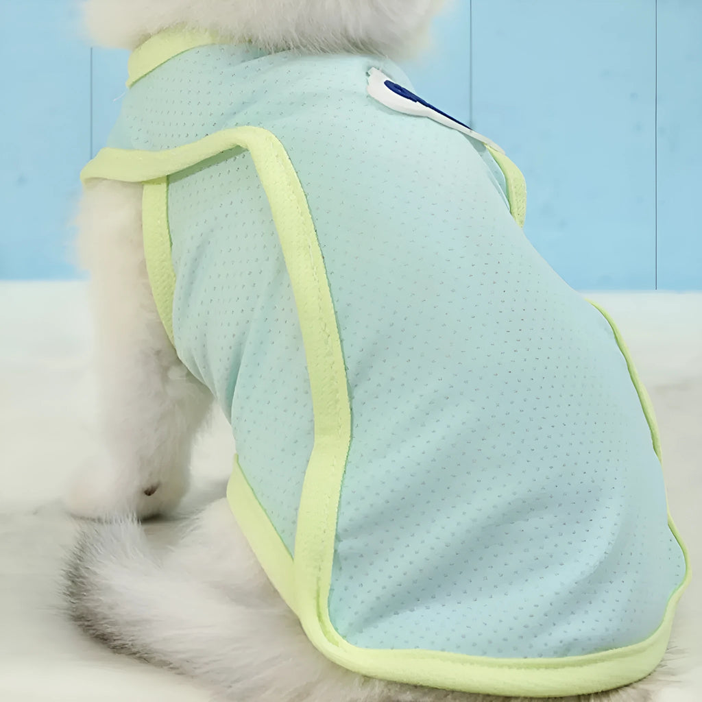 Cat wearing thin polyester summer vest in grass green colour