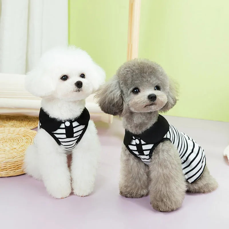 Striped pet T-shirt and skirt set for dogs and cats in summer cotton outfit