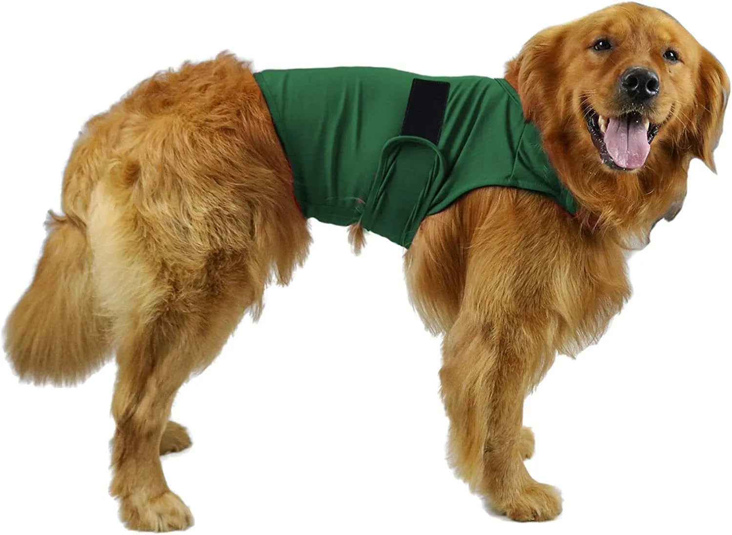 Brown brocade cotton dog anxiety tank top on a model dog, showing the casual tank top style.