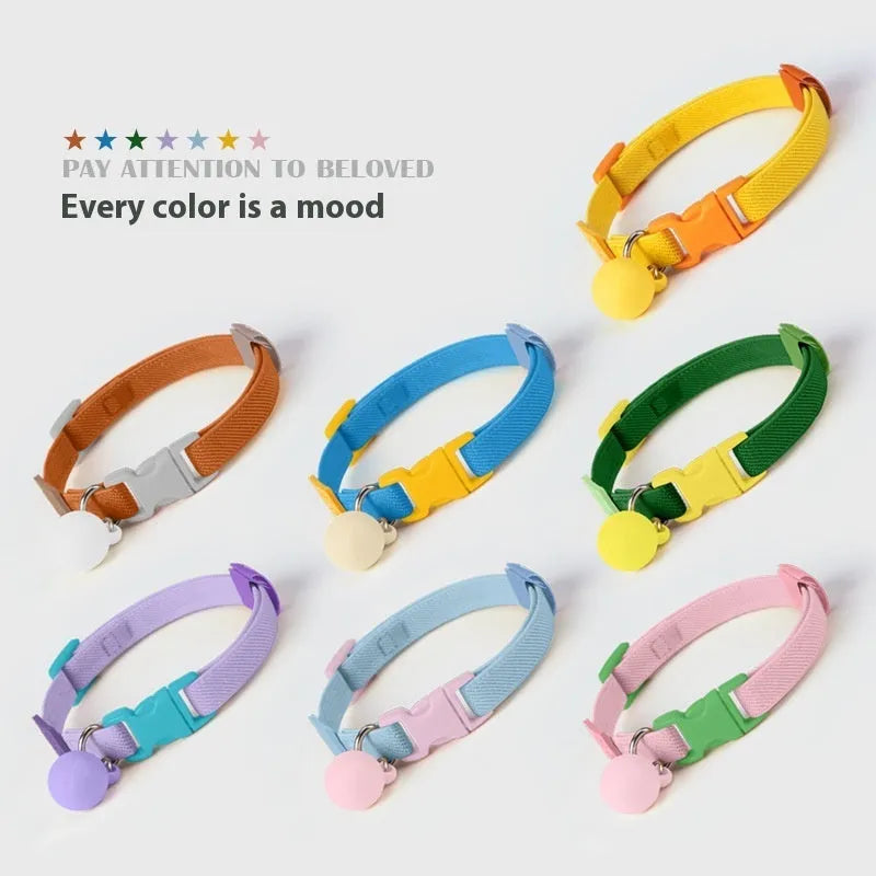 Small high elasticity polyester dog collar shown in one of seven solid colours, adjusted for a 22-32cm neck.