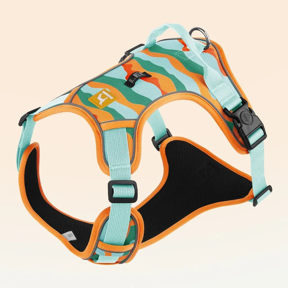 Orange Oxford cloth dog harness with reflective hand-holding rope on a dog's chest and back.
