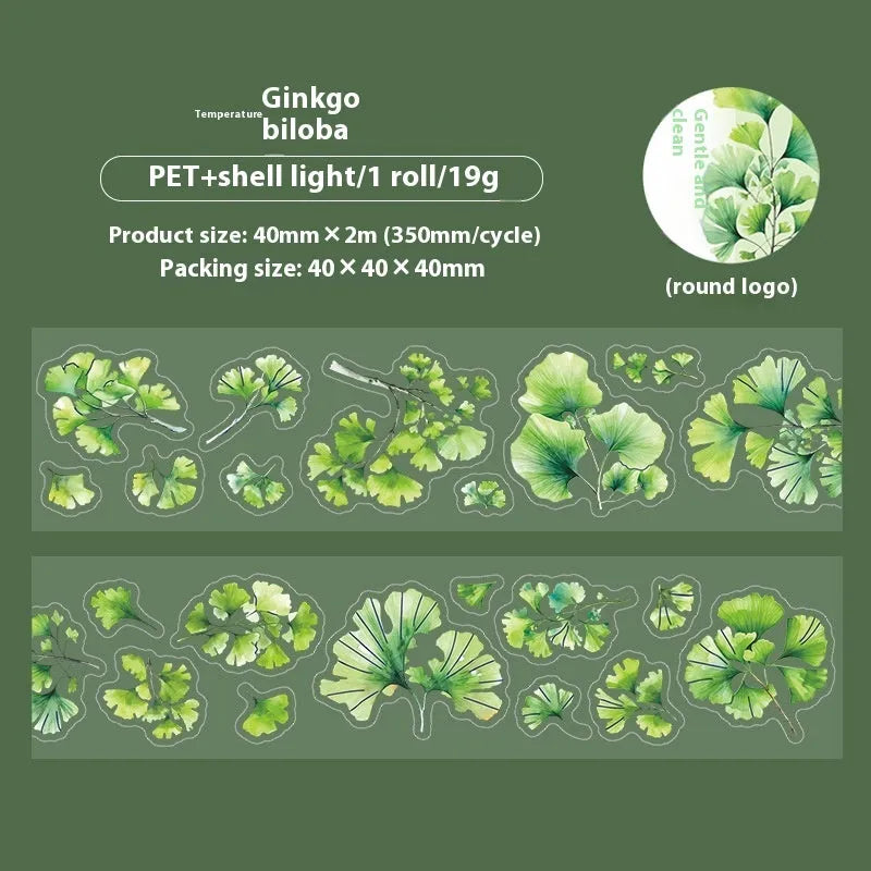 Six rolls of transparent PET decorative stickers with leaf patterns for hand account books