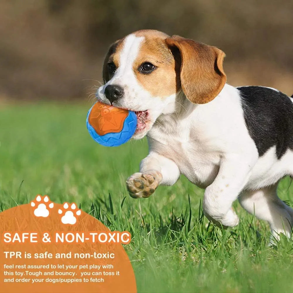 Set of four floating TPR dog toys: a squeaky ball, barbell, and two tires for water fetch.