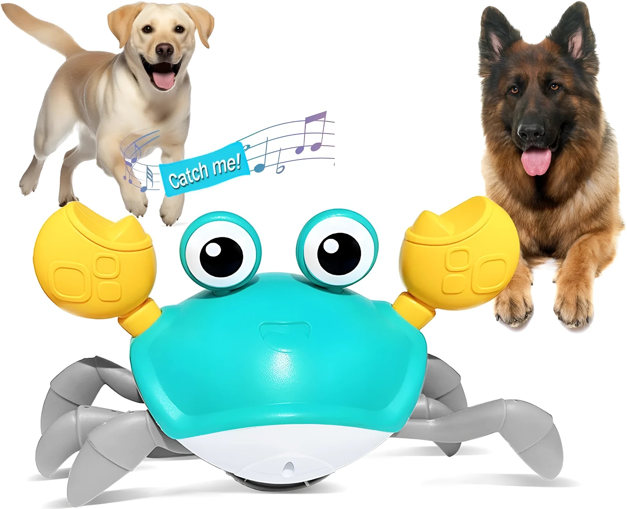 Blue electronic crab dog toy with lights, shown moving sideways on a wooden floor.