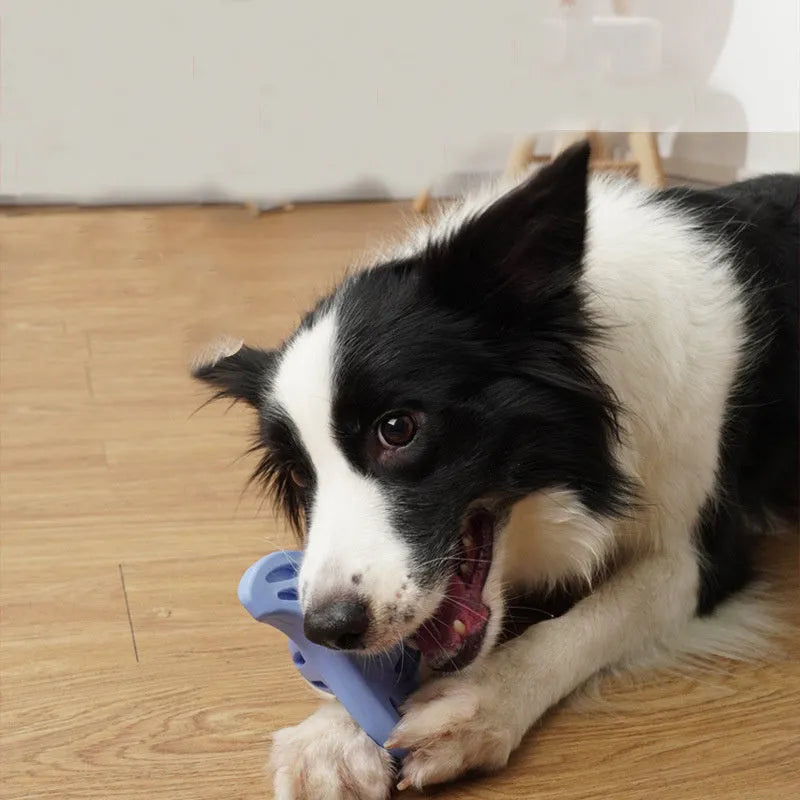 Blue bite-resistant boomerang-shaped dog toy with molar texture on a white background.