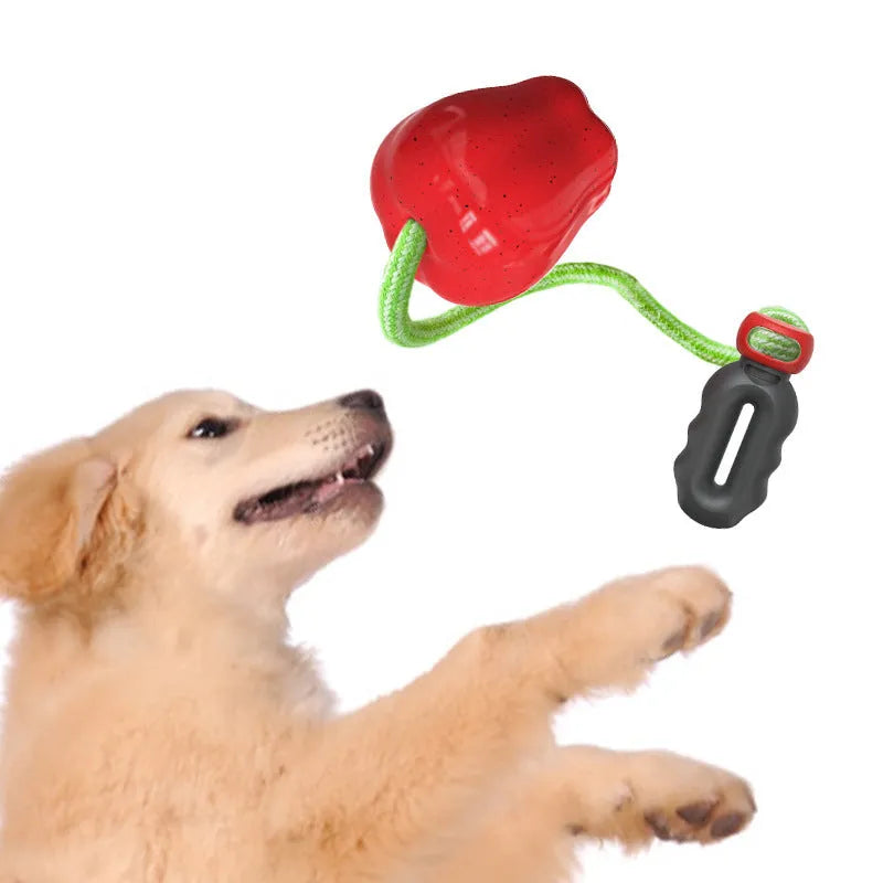 Green plastic apple-shaped dog toy with food-dropping ball function