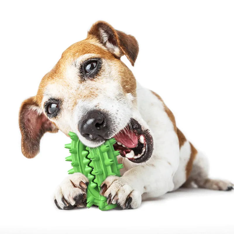 Green and yellow cactus-shaped rubber dog chew toy for dental cleaning