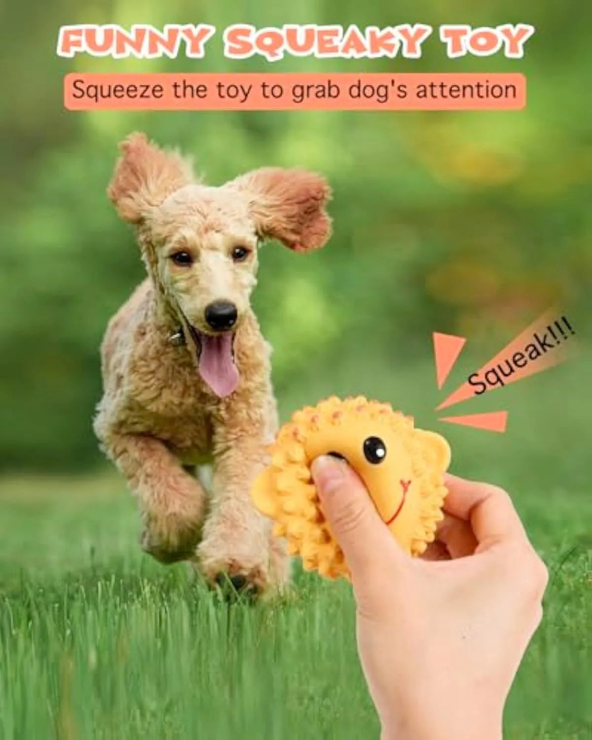 Orange or yellow spiky lamb or monkey latex squeaky dog toy for small medium breeds.