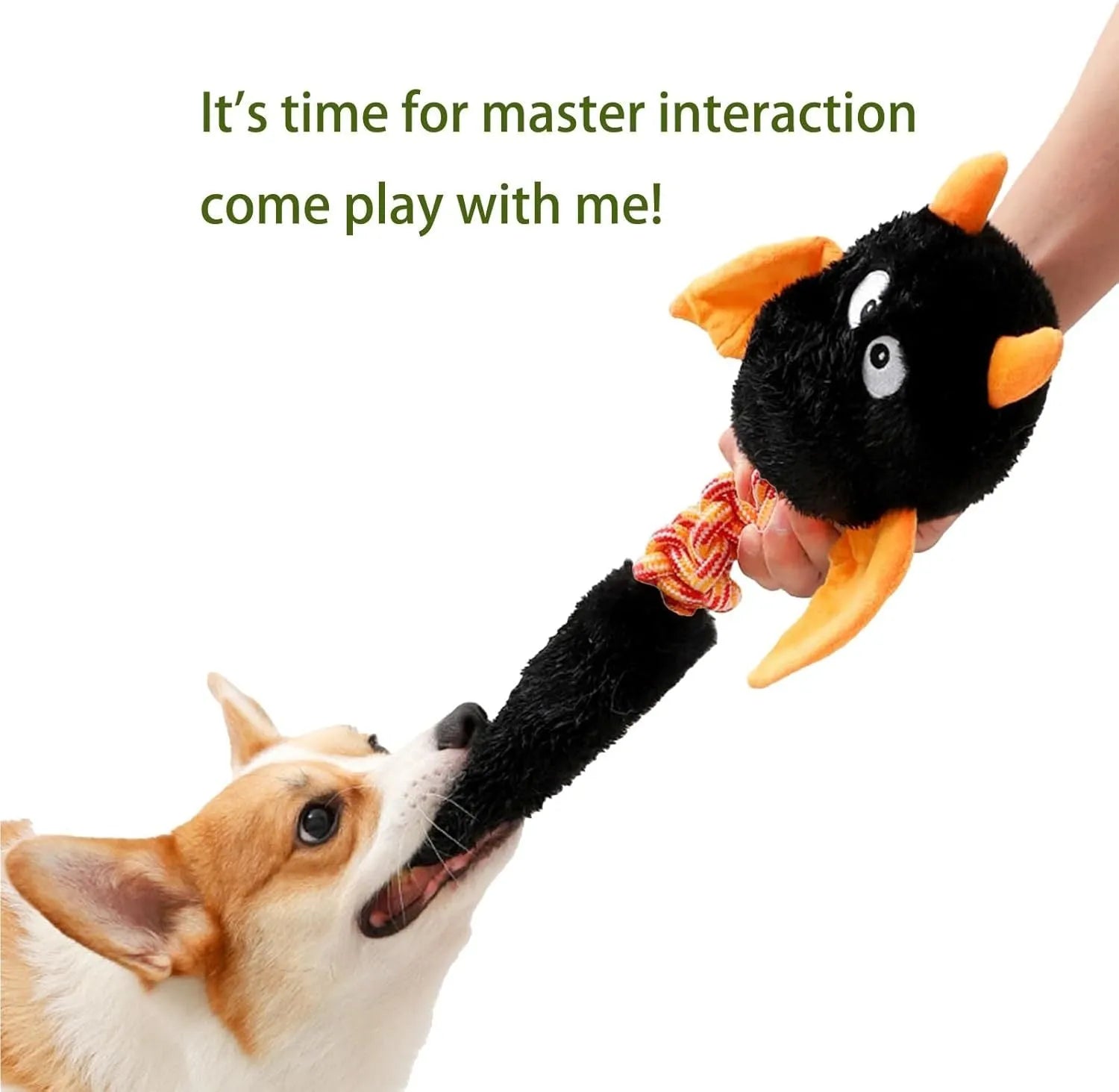 Soft plush dog toy with squeaker, rattle, and rope knot in black, green, or red.