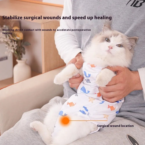 Cat wearing a blue printed post-operative recovery suit covering its torso, secured with Velcro fasteners.