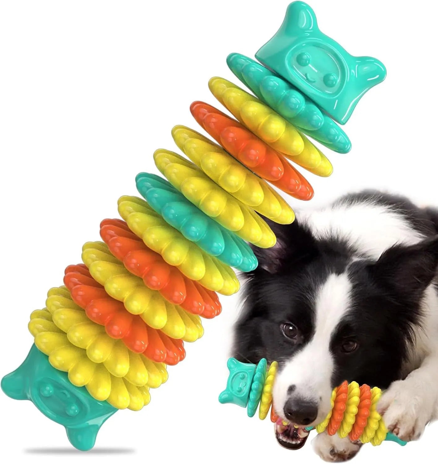 Blue green pink caterpillar shaped natural rubber dog chew toy on white background