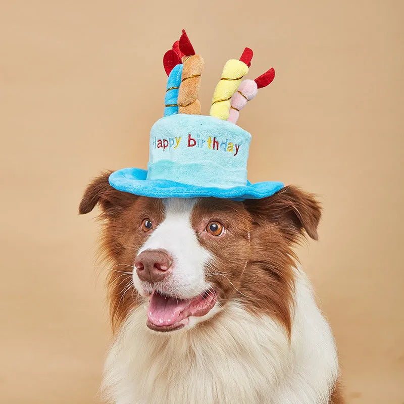 Blue or pink felt dog birthday hat for small to medium sized dogs, approximately 21cm by 15cm