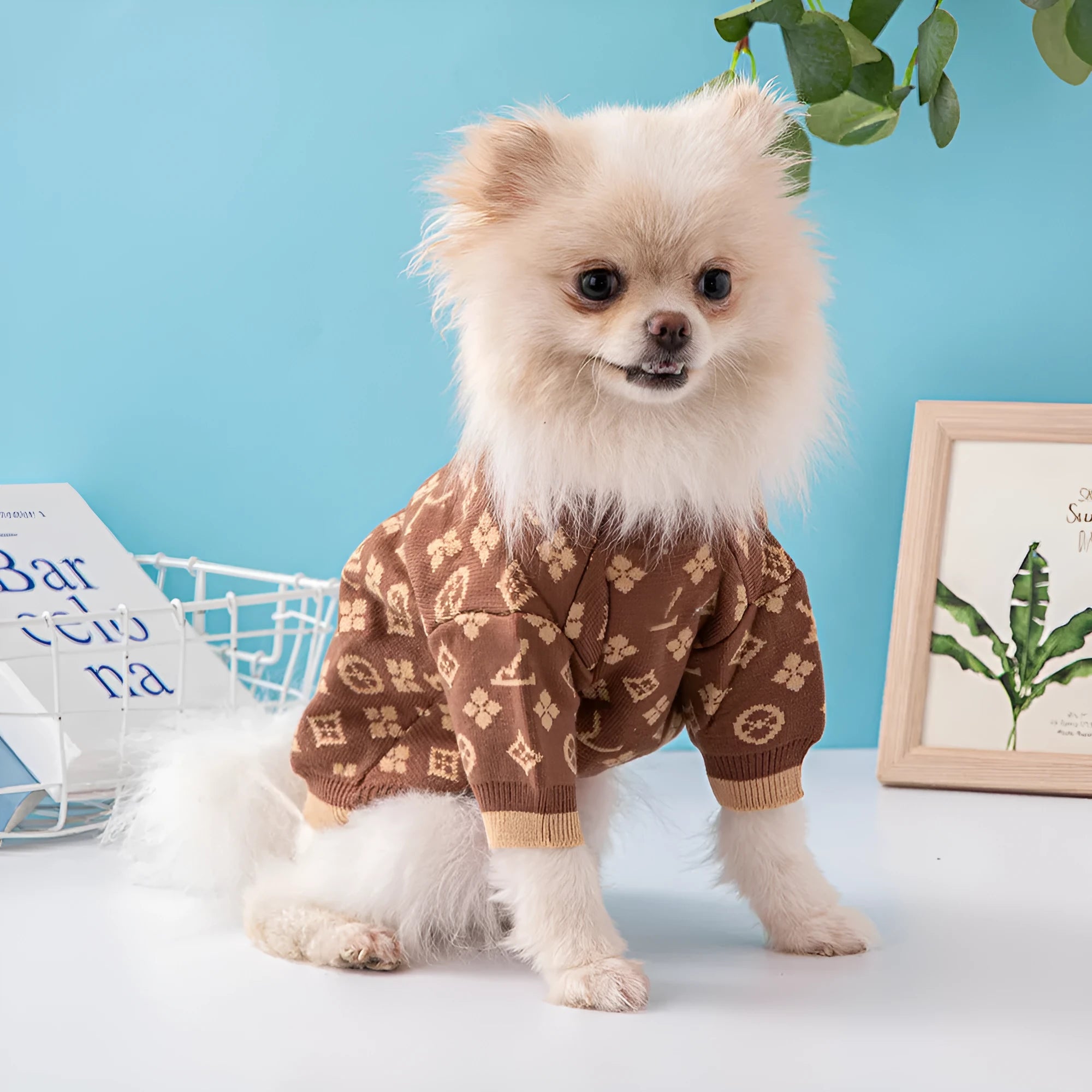 Wool knitted dog sweater in monochrome or two-tone colours for autumn and winter wear.