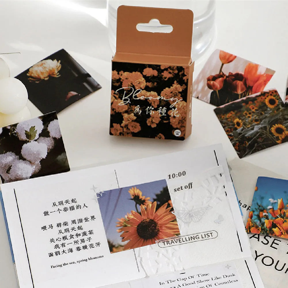 Nordic mountain and sea sunshine decorative stickers in 44mm square format with six design variations