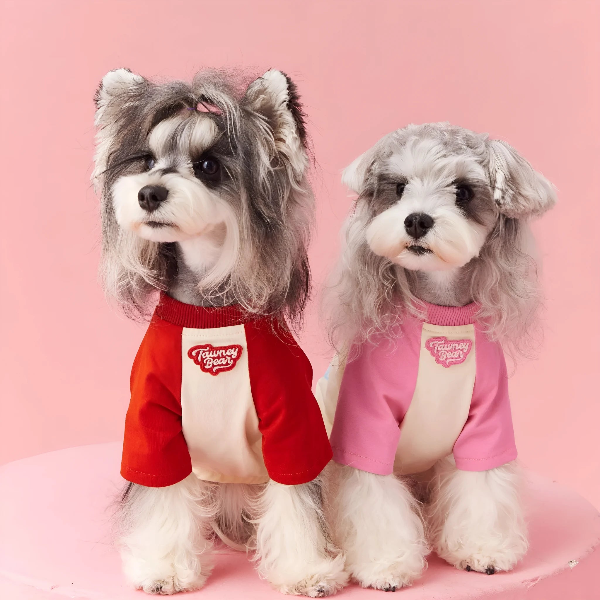 Red embroidered cotton summer outfit for a dog in size L.