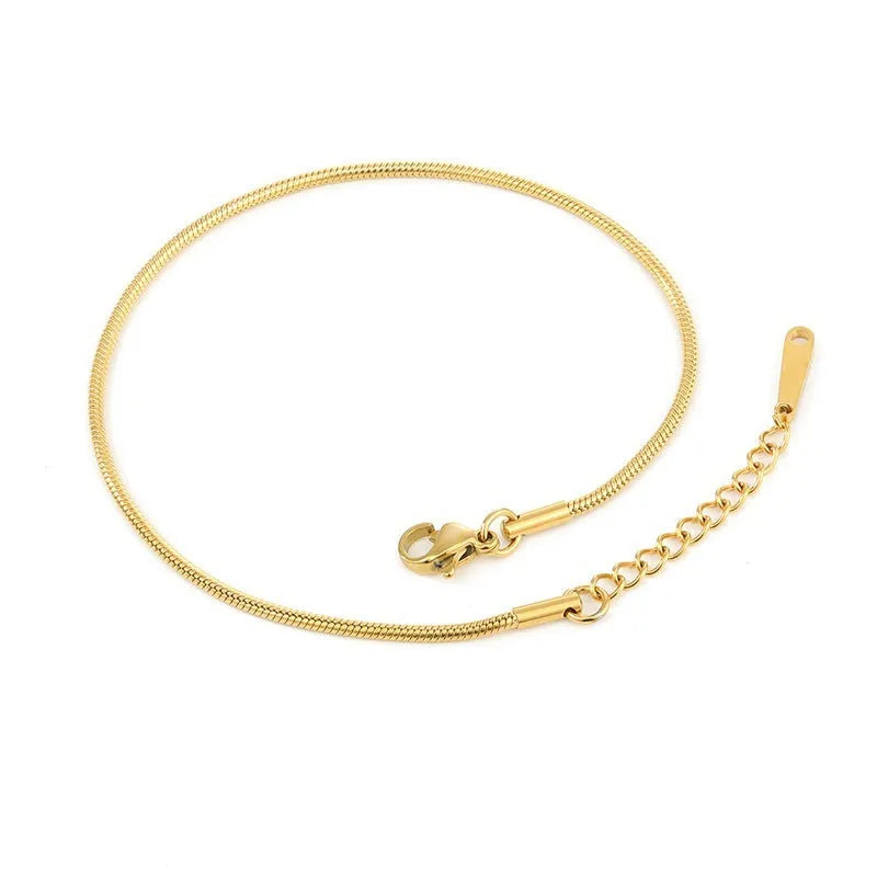 Stainless Steel Anklets Adjustable Snake Chain Anklet for Women 20cm+3cm Extension Chain Gold Rose Gold Steel Colour Fashionable Everyday Wear