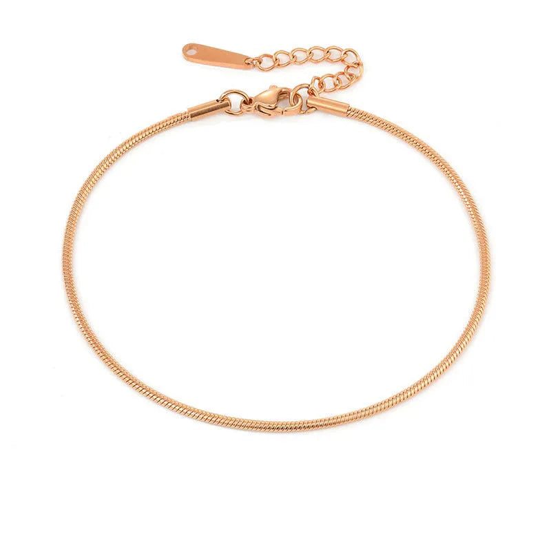 Stainless Steel Anklets Adjustable Snake Chain Anklet for Women 20cm+3cm Extension Chain Gold Rose Gold Steel Colour Fashionable Everyday Wear