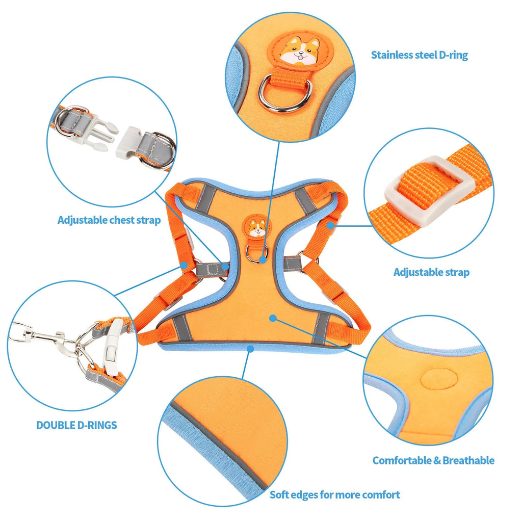 Adjustable dog harness with haulage rope and vest in multiple colour options.