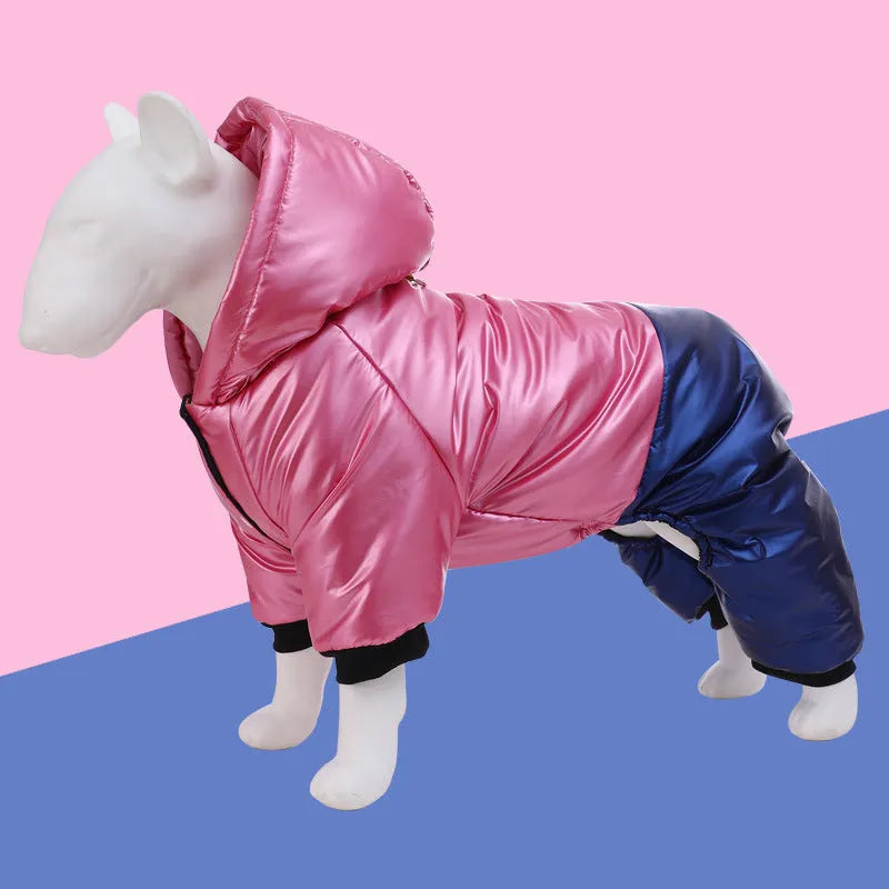 Green waterproof dog winter coat with cotton padding on small brown dog outdoors