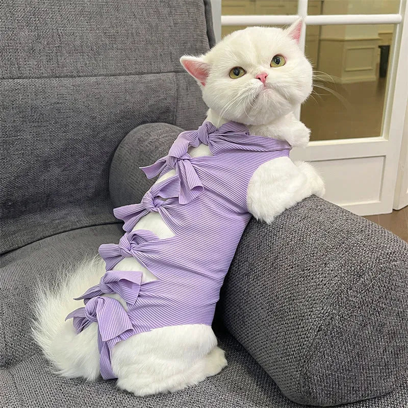 Cat wearing pink sterilisation recovery clothing with lace-up closure after surgery