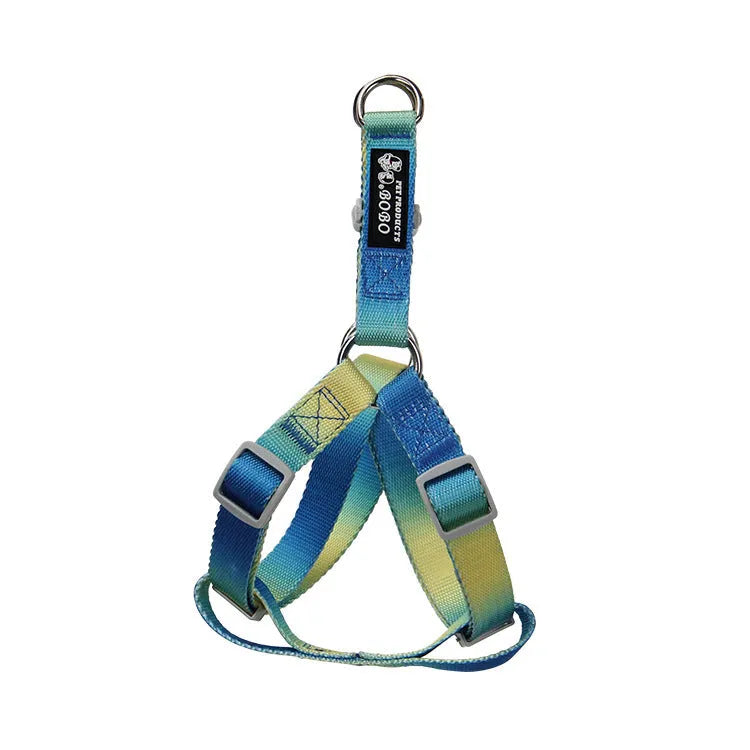 Gradient colour dog leash set showing pink and blue nylon collar and chest strap harness options
