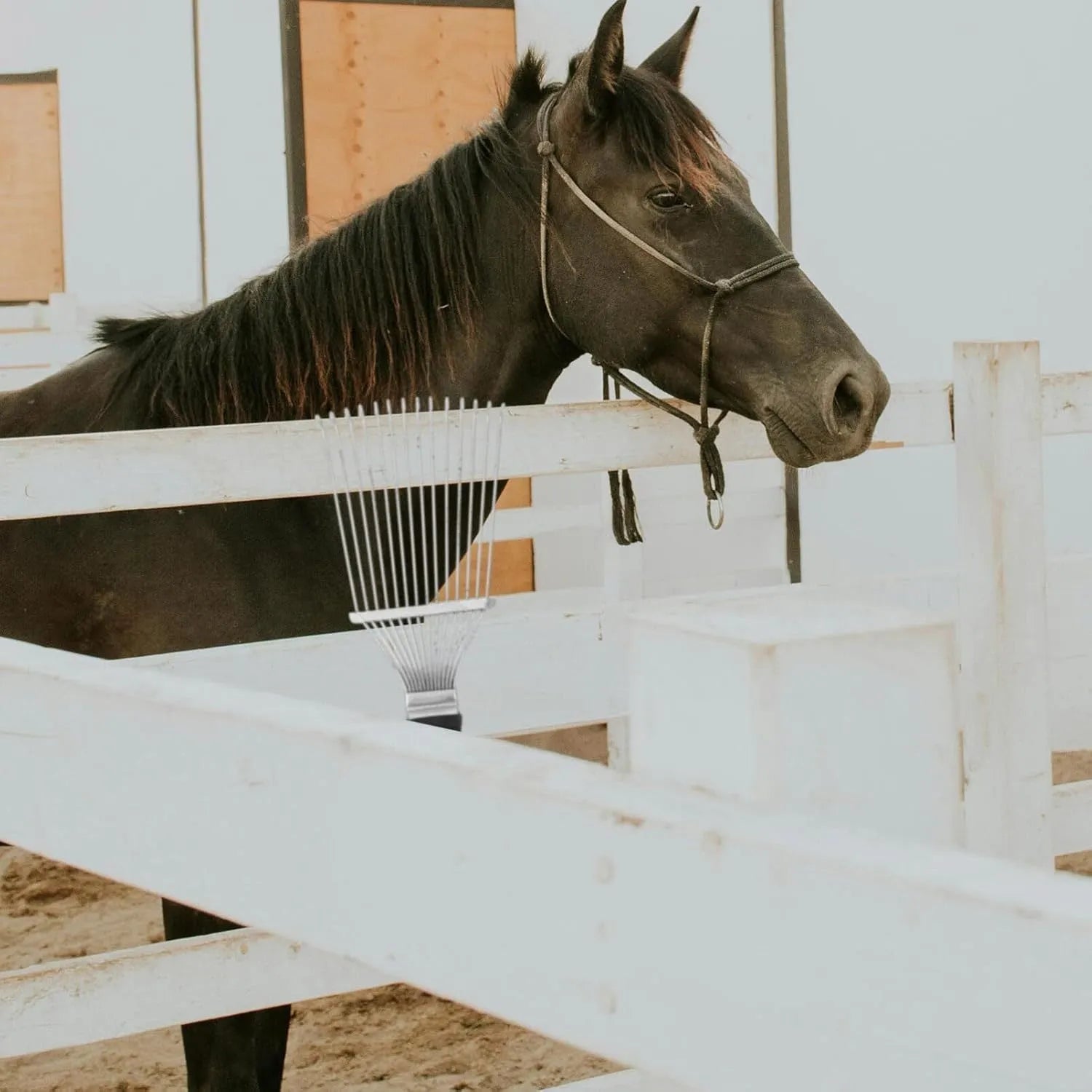 Stainless steel pet dematting brush rake comb with curved teeth for grooming horses and dogs.