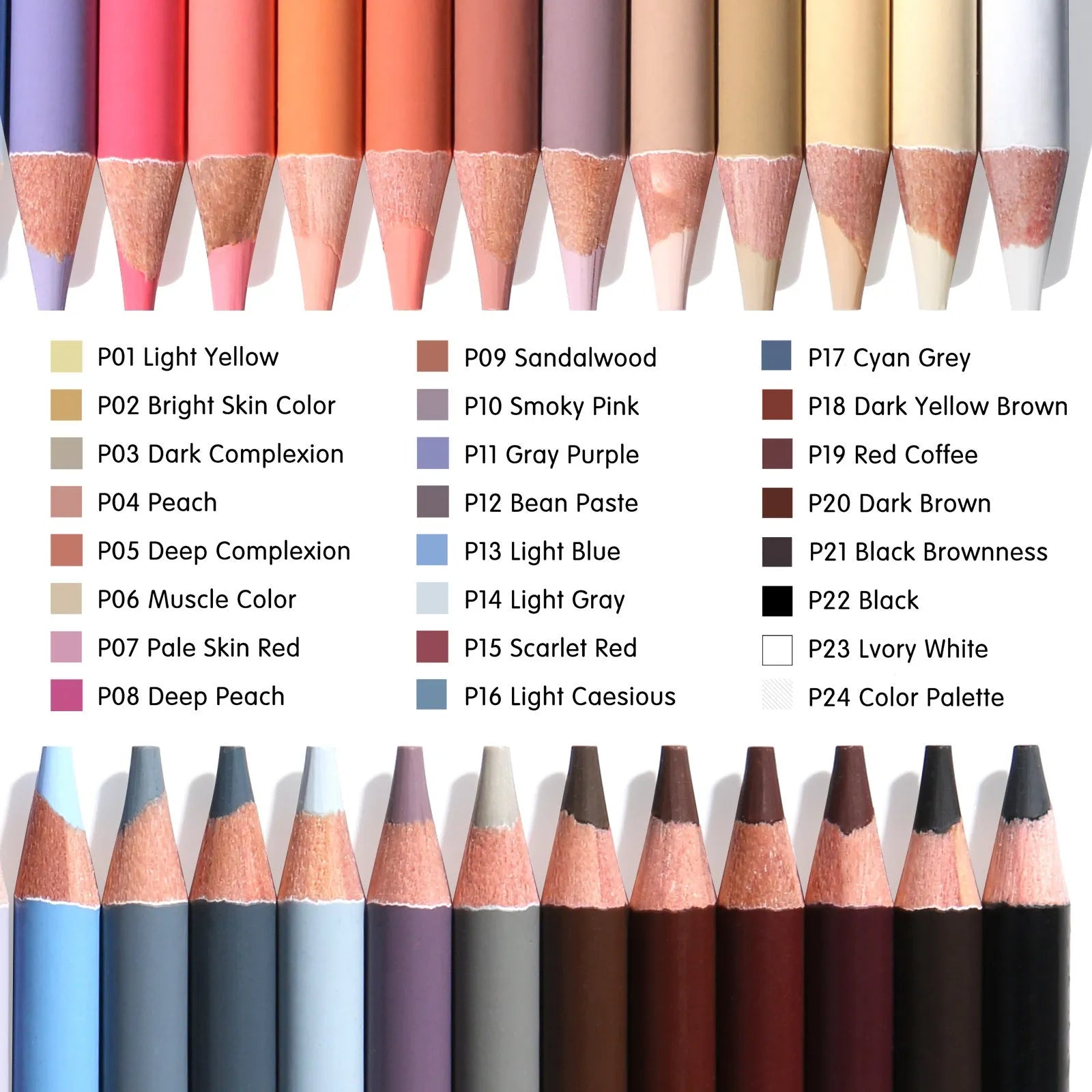24 skin colour pencils for portrait art in a round metal tin case