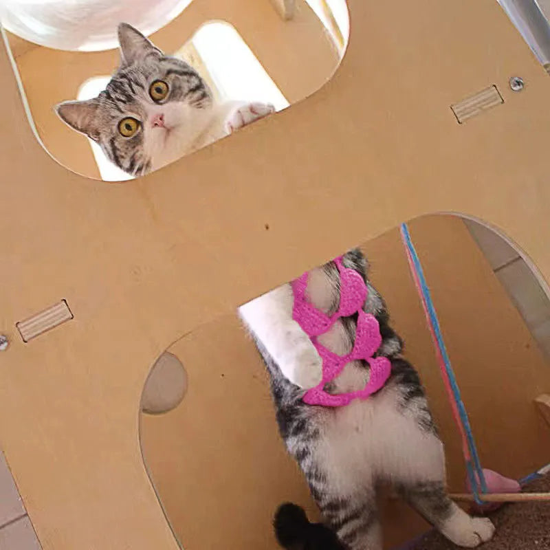 Cat wearing sweet-style bikini costume in multiple colour options for festive events