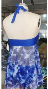 Blue two-piece bikini swimsuit for women with briefs style bottom