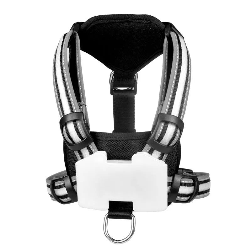 USB-rechargeable luminous dog lead showing seven colour-changing modes on nylon strap