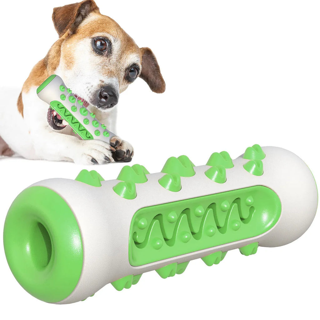 Natural rubber dog toothbrush chew toy in blue colour on white background